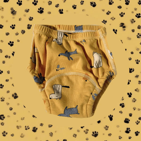 Culotte d'apprentissage